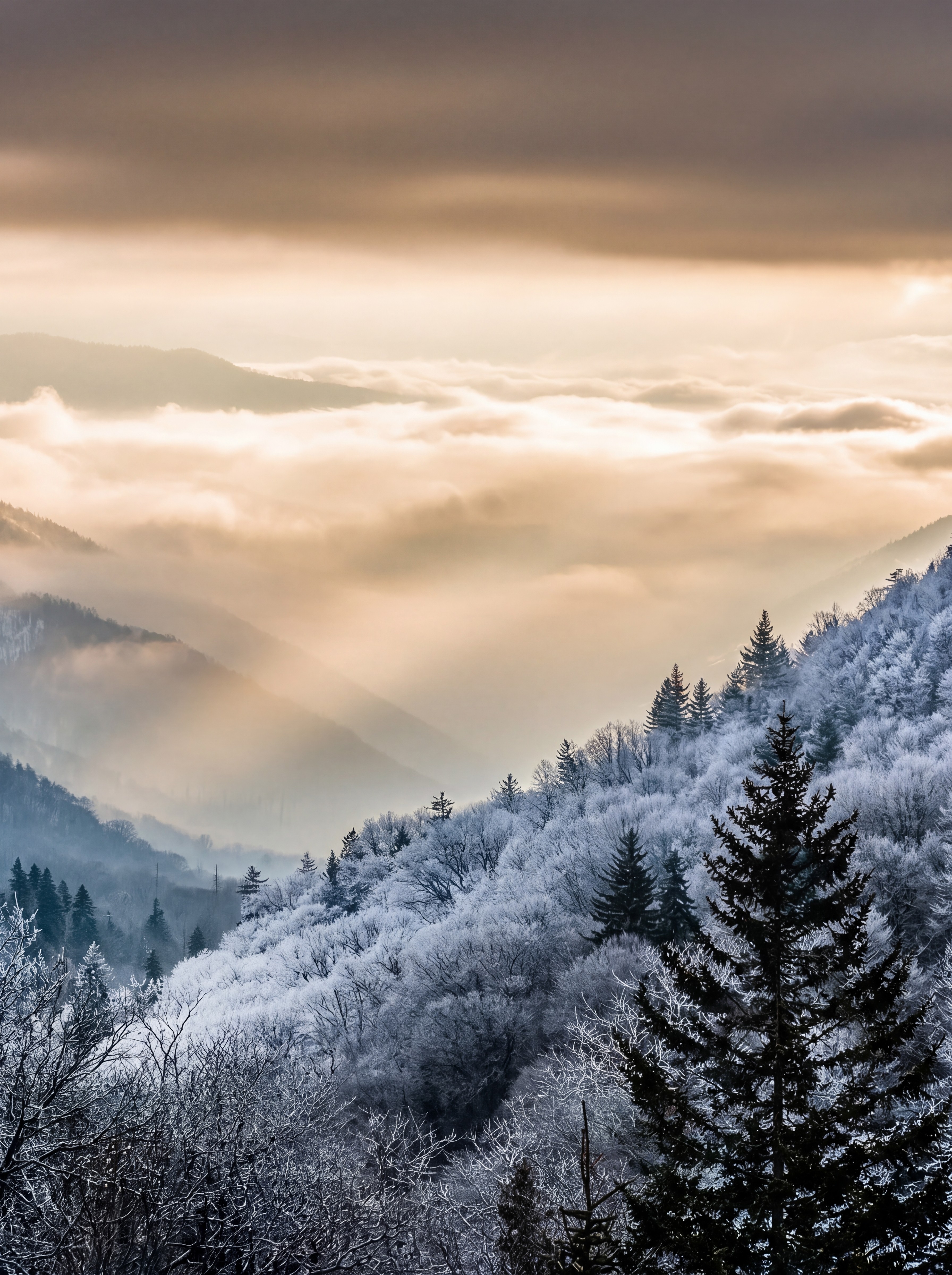 Waterfall trail near the resort